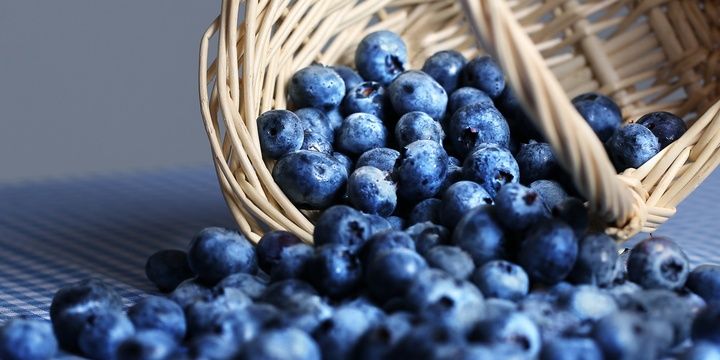 6 Essential Organic Foods for Your Health Blueberries