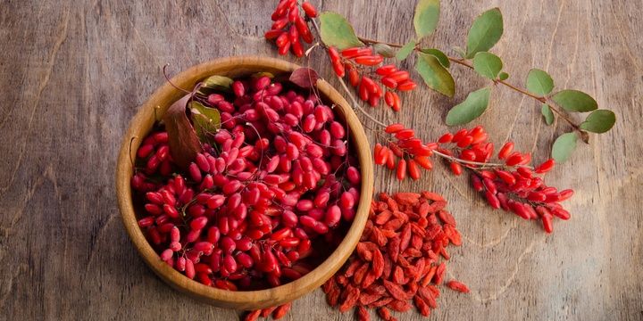 6 Essential Organic Foods for Your Health Goji Berries