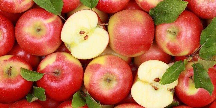 6 Essential Organic Foods for Your Health Apples