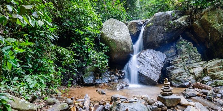 6 Special Places in Rio de Janeiro Every Traveller Should Visit Tijuca National Park
