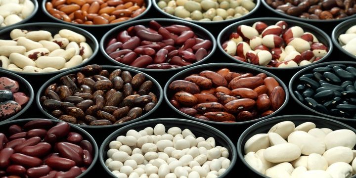 5 Foods for People Who Wish to Live a Long Life Beans