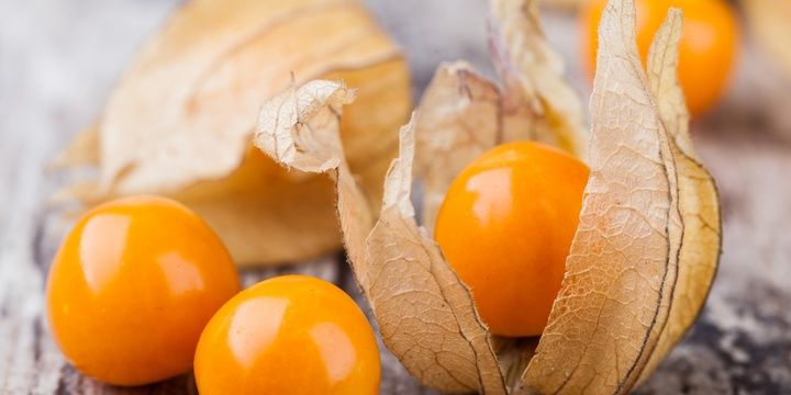 5 Exceptionally Delicious and Rare Fruits Physalis