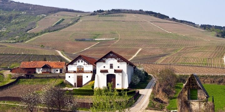 8 European Countries Where Wine Is Cheap Hungary
