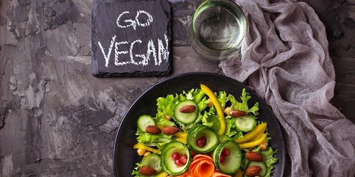 9 Affordable Tips for People Who Wish to Go Green Go vegetarian vegan
